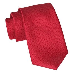 Červená pánská kravata obraz