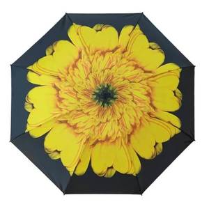 Blooming Brollies Dámský skládací deštník EDRFFSF obraz