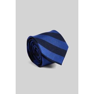 Elegantní modrá kravata obraz