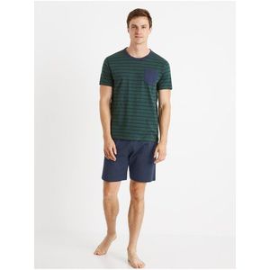 Modro-zelené pánské pruhované krátké pyžamo Celio Cible obraz