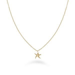 Rosefield Pozlacený náhrdelník s mořskou hvězdicí Essentials JNSNG-J830 obraz