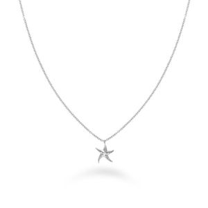Rosefield Ocelový náhrdelník s mořskou hvězdicí Essentials JNSNS-J831 obraz
