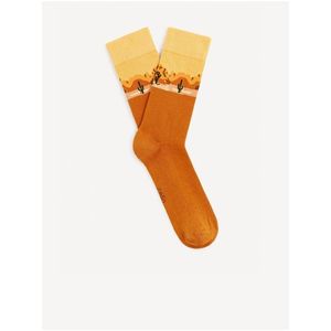 Oranžové pánské ponožky Celio Gisocactu obraz