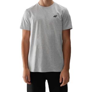 4F T-SHIRT Pánské tričko, šedá, velikost obraz