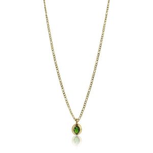 Emily Westwood Nadčasový pozlacený náhrdelník se zirkonem Laila EWN23090G obraz