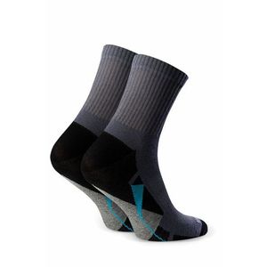 Dětské ponožky 022 303 grey obraz