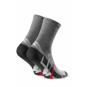 Dětské ponožky 022 295 grey obraz