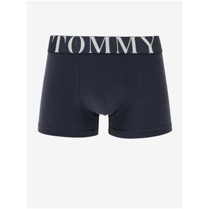 Tmavě modré pánské boxerky Tommy Hilfiger Underwear obraz