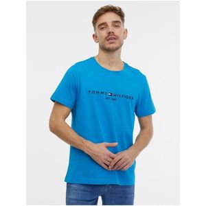 Tommy Hilfiger pánské tričko Barva: Modrá, Velikost: L obraz
