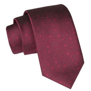 Trendy bordó pánská kravata obraz