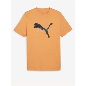 Oranžové pánské tričko Puma Desert Road Graphic Tee obraz