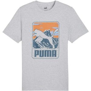 Puma GRAPHIC MOUNTAIN TEE Pánské triko, šedá, velikost obraz