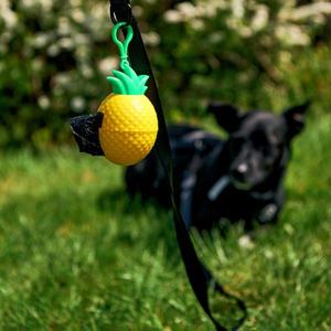 Sinsay - Pouzdro se sáčky na psí odpad - Žlutá obraz
