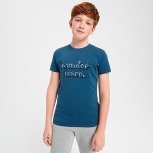 Sinsay - Tričko s krátkými rukávy a potiskem - Modrá obraz