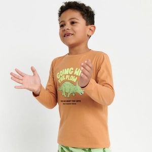 Sinsay - Tričko s dlouhými rukávy a potiskem - Oranžová obraz