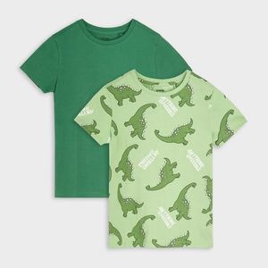 Sinsay - Sada 2 triček - Zelená obraz