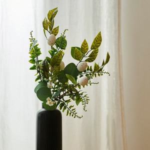 Sinsay - Okrasná rostlina - Zelená obraz