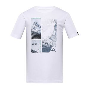 Pánské sportovní tričko Alpine Pro obraz