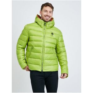 Světle zelená pánská zimní prošívaná bunda Blauer Giubbini obraz
