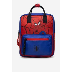 Batohy a tašky Spiderman ACCCS_SS24-325SPRMV obraz