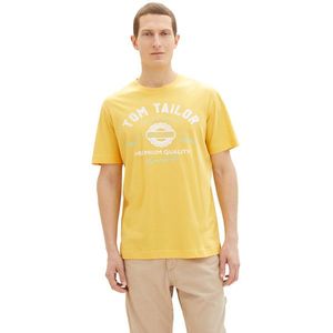 Tom Tailor Pánské triko Regular Fit 1037735.34663 XXL obraz