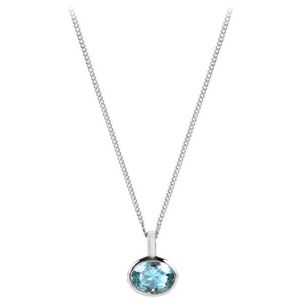Silver Cat Něžný náhrdelník s modrým krystalem SC262 (řetízek, přívěsek) obraz