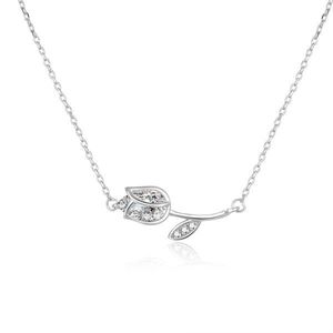 Beneto Romantický stříbrný náhrdelník s čirými zirkony AGS486/47L obraz