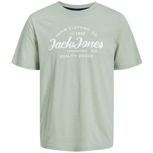 Jack&Jones Pánské triko JJFOREST Standard Fit 12247972 Desert Sage L obraz