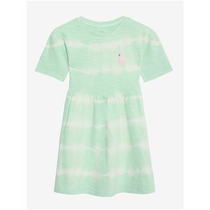 Světle zelené holčičí pruhované šaty Marks & Spencer obraz