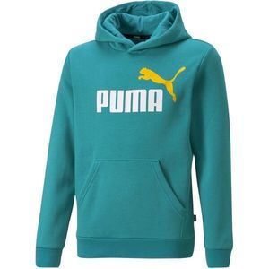 Puma Logo Hoodie obraz