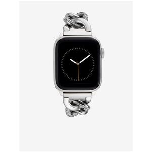 Řemínek pro Apple Watch 38/40/41mm ve stříbrné barvě Anne Klein obraz