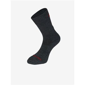 Černé dámské ponožky z merino vlny ALPINE PRO ERATE obraz