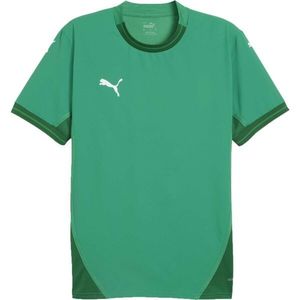 Puma TEAMFINAL JERSEY Pánský fotbalový dres, zelená, velikost obraz