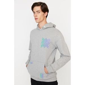Trendyol Gray Regular/Regular Fit Hooded Printed Sweatshirt obraz