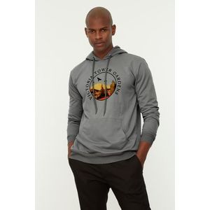 Trendyol Gray Men's Regular Cut Hooded Tropical Printed Sweatshirt obraz