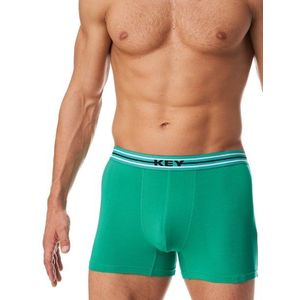 Boxer shorts Key MXH 137 A23 M-2XL green 077 obraz