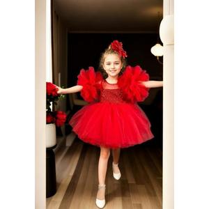 N4732 Dewberry Chiffon Sequined Girls Evening Dress-RED obraz