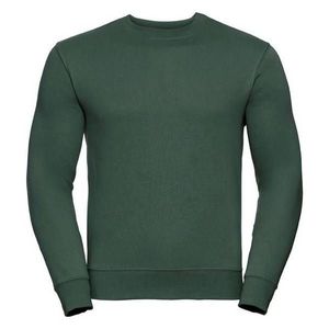 Green men's sweatshirt Authentic Russell obraz
