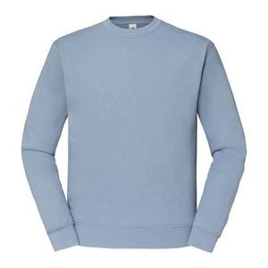 Men's Blue Sweatshirt Set-in Sweat Fruit of the Loom obraz