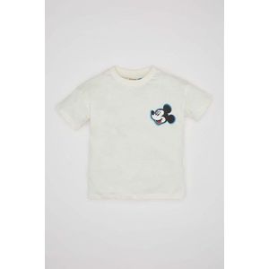 DEFACTO Regular Fit Mickey & Minnie Licensed Short Sleeve T-Shirt obraz