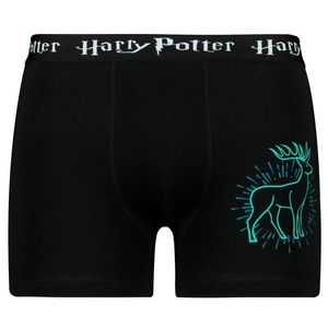Pánské boxerky Harry Potter - Frogies obraz
