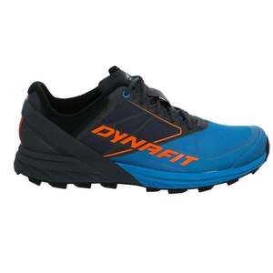 Pánské běžecké boty Dynafit Alpine Magnet obraz