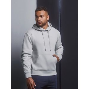Light grey men's hoodie Authentic Russell obraz