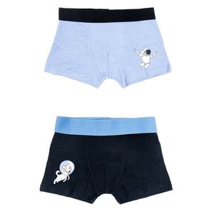 Yoclub Kids's Cotton Boys' Boxer Briefs Underwear 2-pack BMB-0012C-AA30-001 obraz