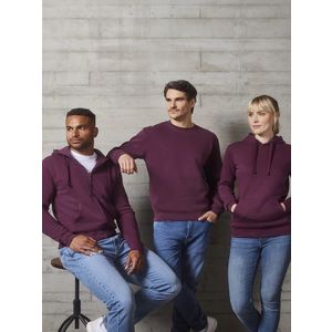 Burgundy men's sweatshirt Authentic Russell obraz