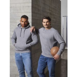 Authentic Russell Grey Men's Hoodie obraz