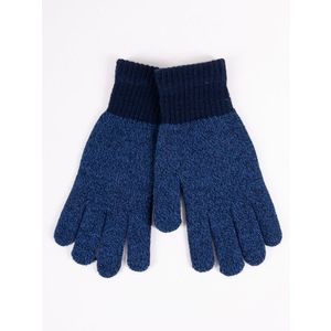 Yoclub Man's Gloves RED-0073F-AA50-001 Navy Blue obraz