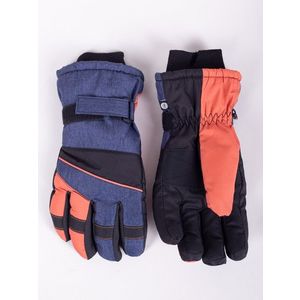 Yoclub Man's Men's Winter Ski Gloves REN-0277F-A150 obraz
