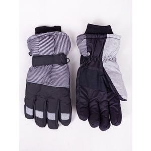 Yoclub Man's Men's Winter Ski Gloves REN-0267F-A150 obraz