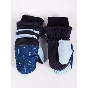 Yoclub Kids's Children's Winter Ski Gloves REN-0227C-A110 Navy Blue obraz